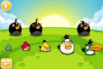 Angry Birds Золотое Яйцо 12